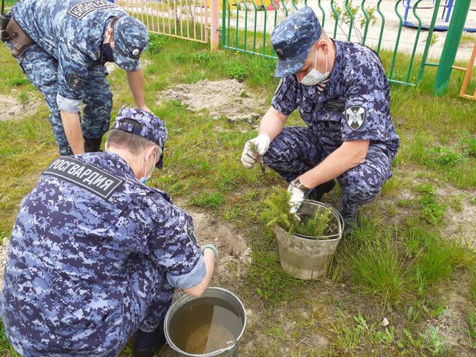 В Югре сотрудники Росгвардии присоединились к акции «90 кедров к юбилею». Кедровые аллеи планируется высадить в каждом муниципалитете
