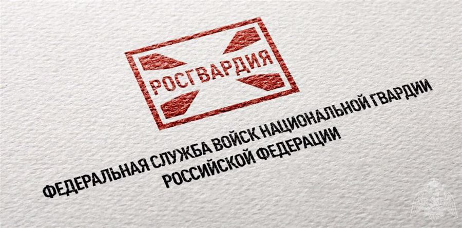 В Югре сотрудники Росгвардии задержали подозреваемого в угоне автомобиля