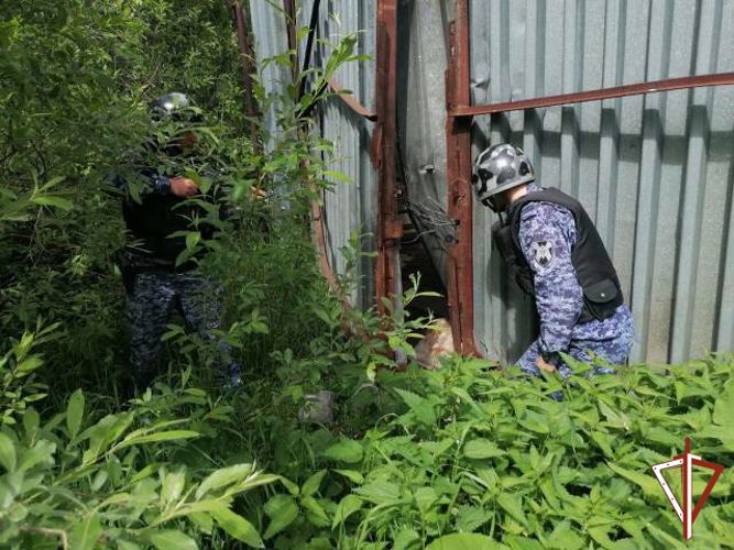 Сотрудники Росгвардии задержали в Югре подозреваемого в убийстве пожилой женщины