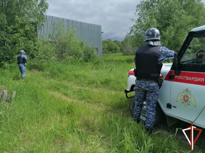 Сотрудники Росгвардии задержали в Югре подозреваемого в убийстве пожилой женщины