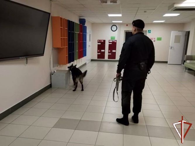 Росгвардия обеспечила правопорядок при проведении Единого дня голосования в Югре