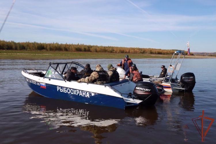 Росгвардия и Рыбоохрана совместно проводят оперативно-профилактическое мероприятие «Осенний нерест»