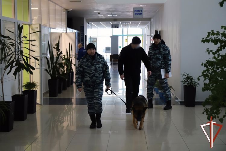 Росгвардия обеспечила безопасность проведения окружного турнира по боксу в Югре