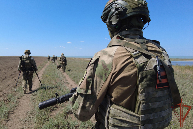 Росгвардейцы обезвредили в Херсонской области БПЛА противника с боевым зарядом (видео) 