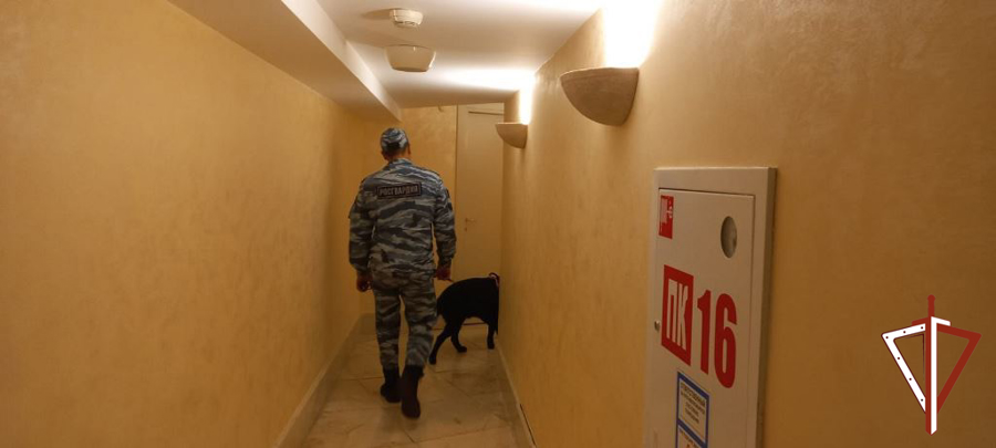 В Югре Росгвардия обеспечивает охрану общественного порядка при проведении международной олимпиады по физике среди старшеклассников из 17 стран