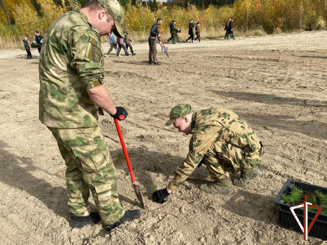 В Югре Росгвардия приняла участие во всероссийской акции «Сохраним лес»  
