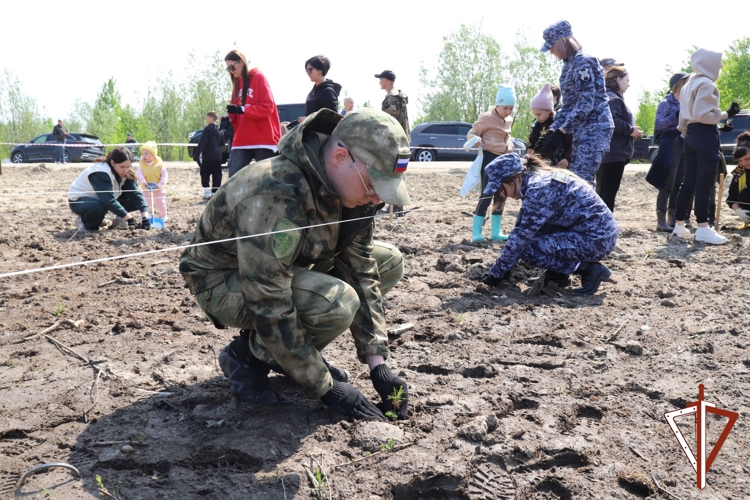 К Международной акции «Сад памяти» присоединились росгвардейцы в Югре 