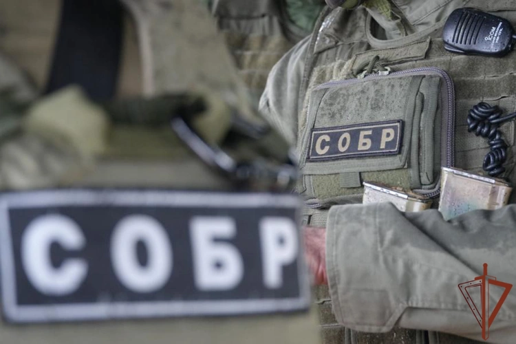 В Архангельске при участии СОБР Росгвардии задержан обвиняемый в неправомерном доступе к компьютерной информации