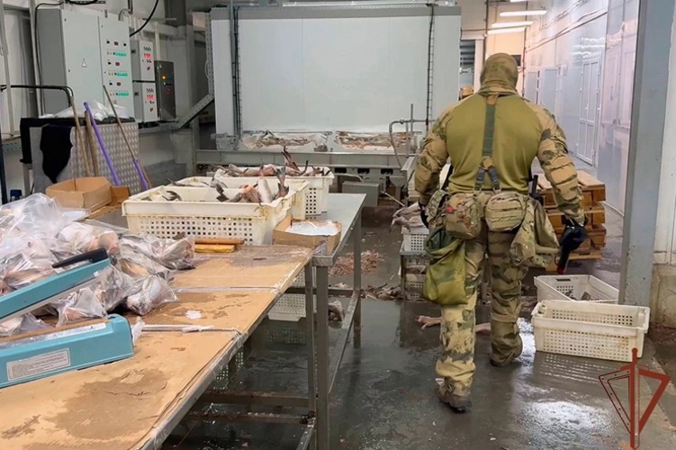 В Уральском округе Росгвардии подведены итоги участия спецподразделений в операции «Нелегал-2026» 