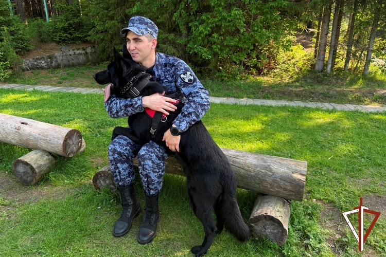 В Югре кинолог Росгвардии и его четвероногий напарник стали героями телеэфира и газетных материалов