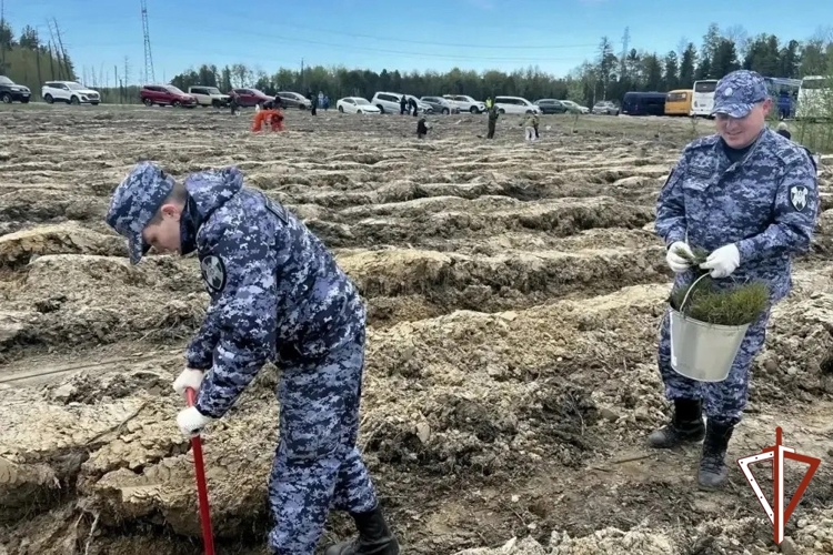 В Югре Росгвардия присоединилась к международной эколого-патриотической акции «Сад памяти»