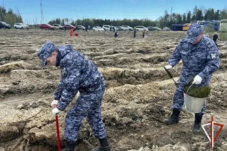 В Югре Росгвардия присоединилась к международной эколого-патриотической акции «Сад памяти»