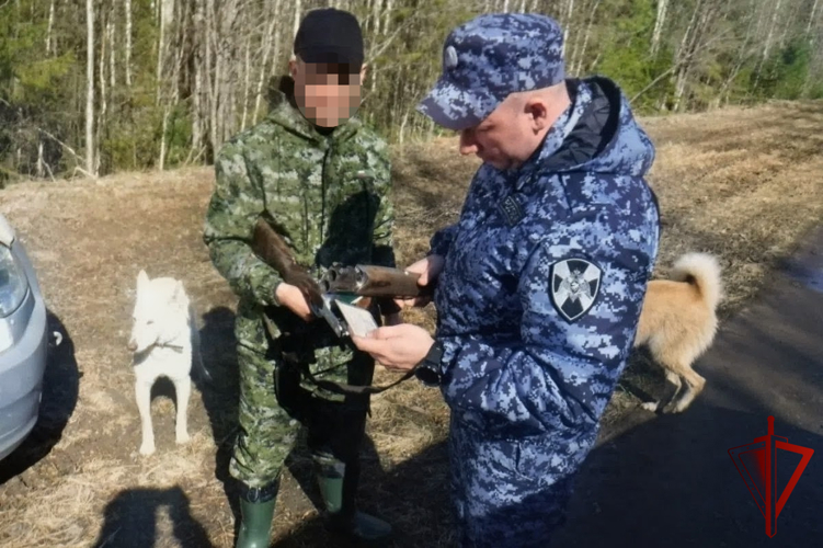 В Югре Росгвардия изъяла из незаконного оборота 28 единиц оружия и боеприпасы