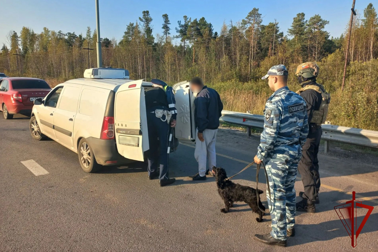 В Югре при содействии Росгвардии прошла оперативно-профилактическая  спецоперация